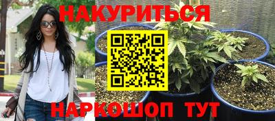 кокс Кандалакша