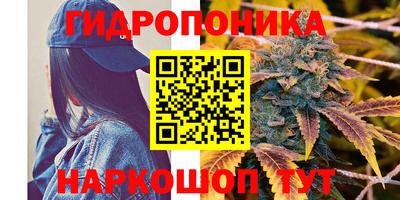 герыч Камышлов