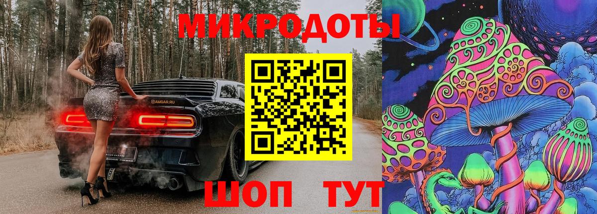 Галлюциногенные грибы Psilocybine cubensis Кореновск