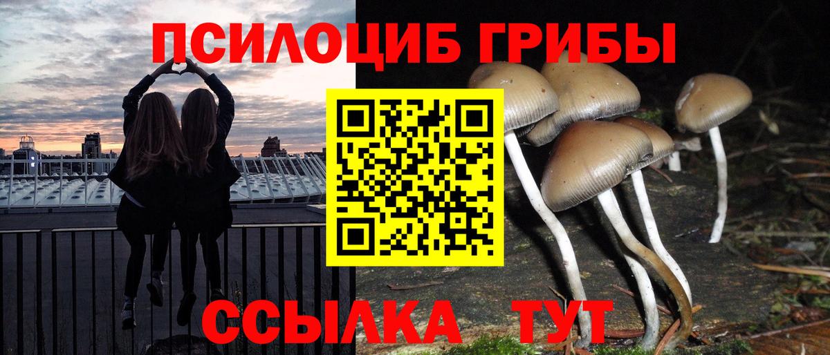 Псилоцибиновые грибы прущие грибы  Вход с VPN  Псилоцибиновые грибы прущие грибы  Кореновск 